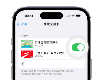 矿区apple维修点分享iPhone上更换Apple Pay快捷交通卡手绘卡面 