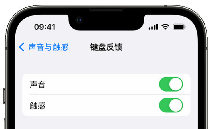 矿区苹果手机维修分享iPhone 14触感键盘使用方法 