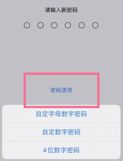 矿区苹果14维修分享iPhone 14plus设置密码的方法 