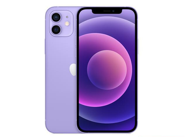 矿区苹果手机维修分享现阶段要不要入手紫色版iPhone12 